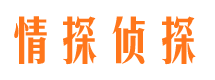 西安市私家侦探